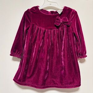 Carter's Purple Velvet Dress